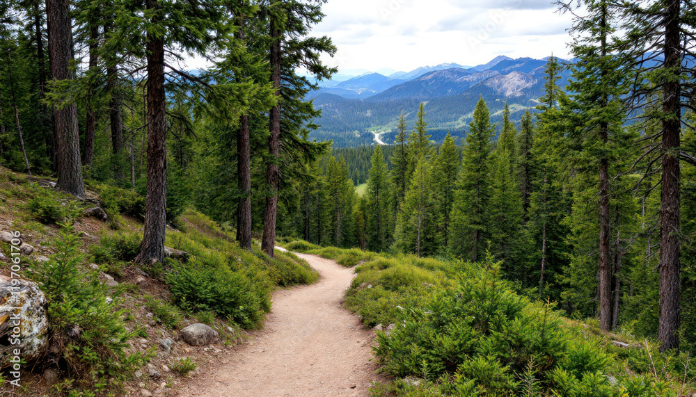Scenic Mountain Trail: A winding path through lush evergreen forest offers breathtaking views of distant mountain ranges under a partly cloudy sky. Scenic Mountain Trail: A winding path through lush evergreen forest offers breathtaking views of distant mountain ranges under a partly cloudy sky.