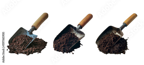 Set of three gardening trowels with wooden handles filled with dark rich soil, emphasizing texture and rustic charm. photo