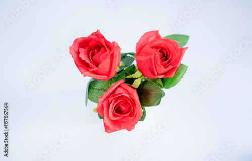 Red Rose Flower. Red plastic roses on isolate white background. clipping path.valentine celebration concept