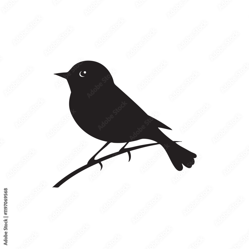 Fototapeta premium bird on a branch