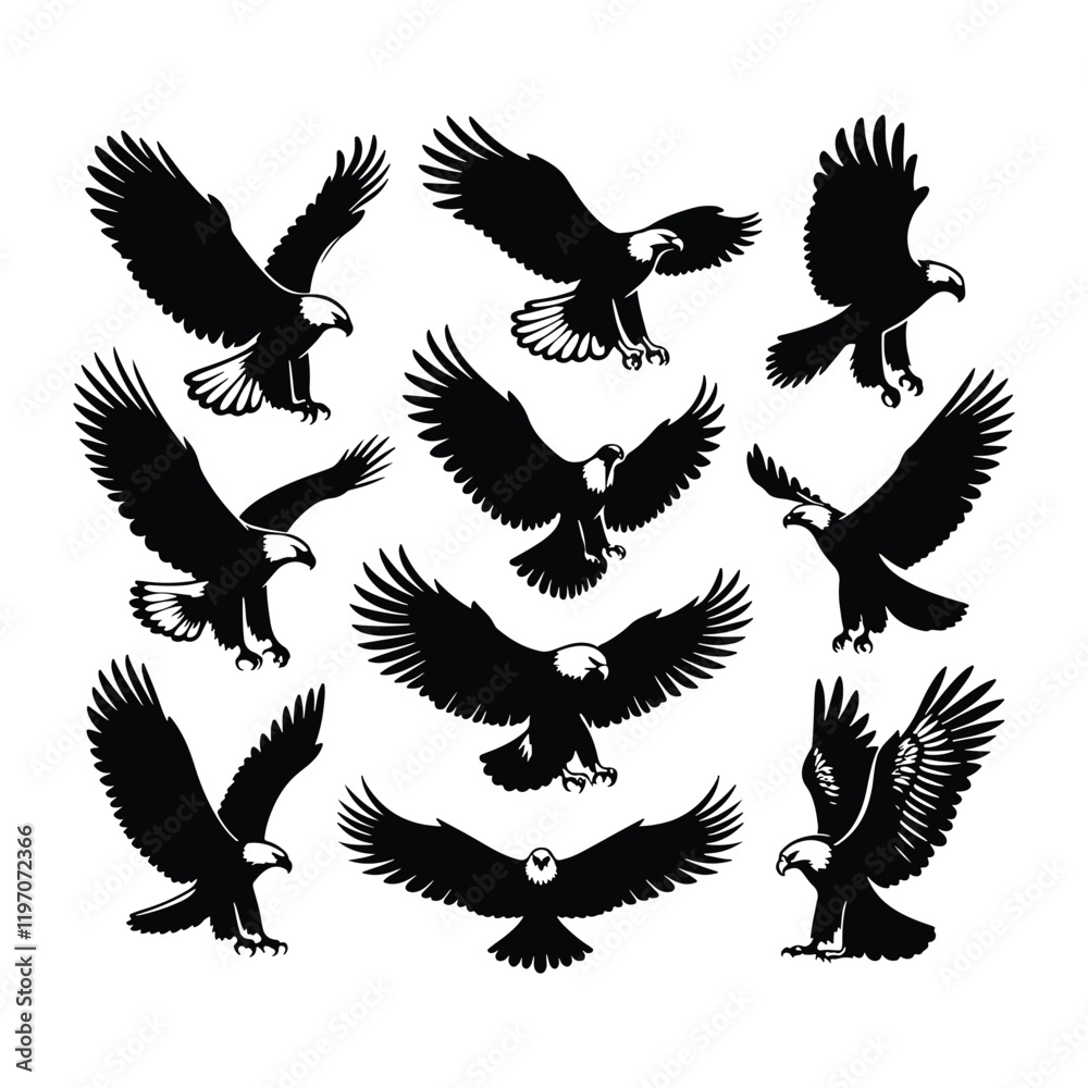 Fototapeta premium Eagle bird vector on a set design with white background