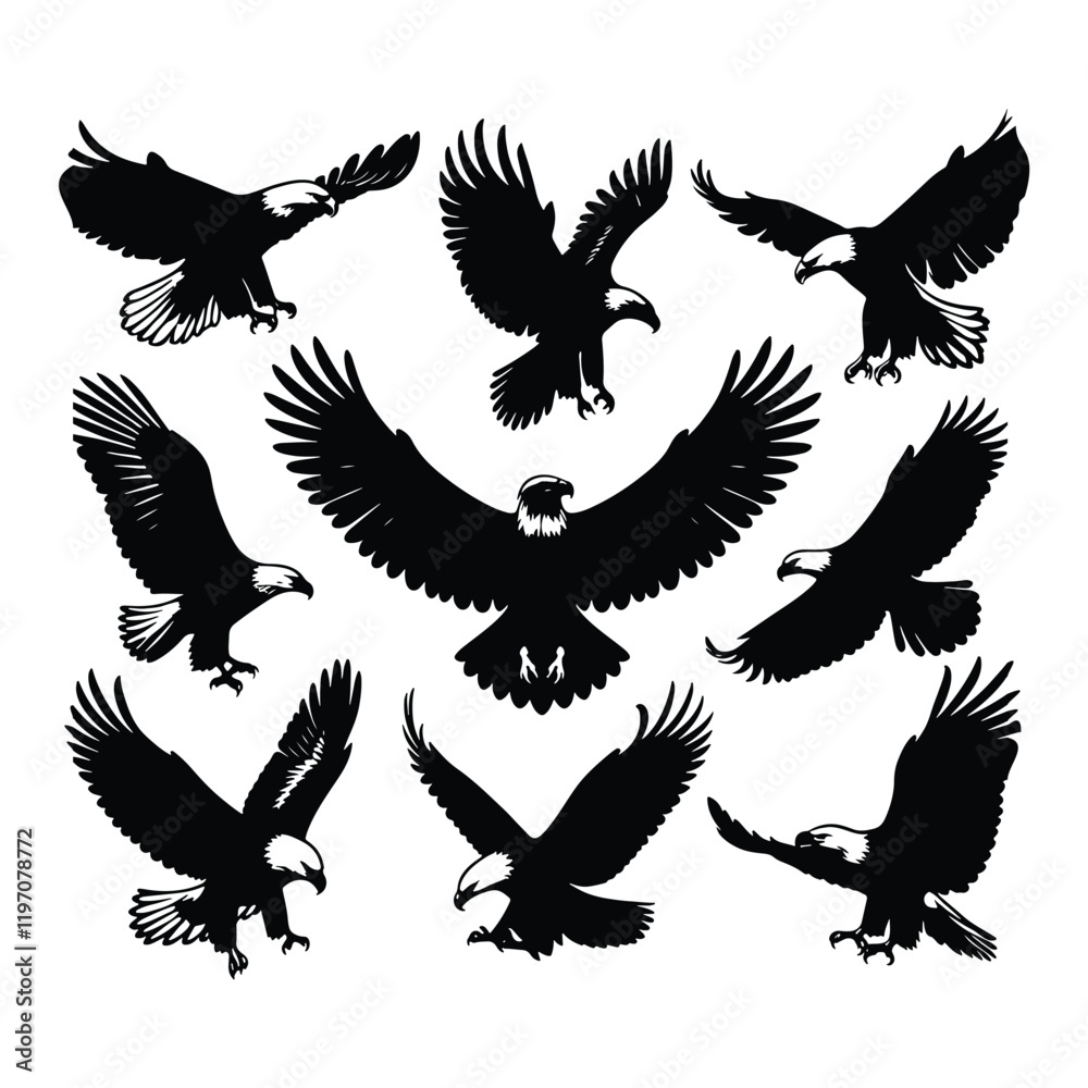 Eagle bird vector on a set design with white background Eagle bird vector on a set design with white background