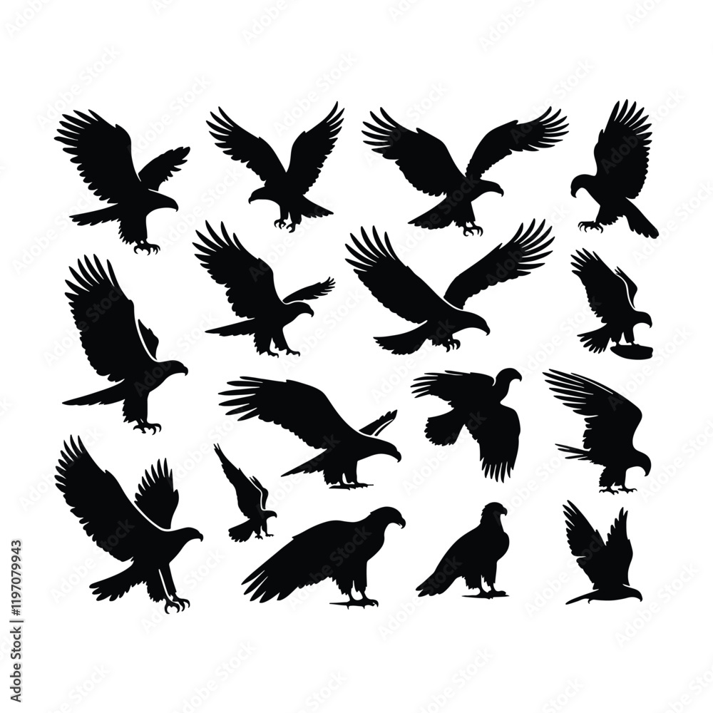 Obraz premium Eagle bird vector on a set design with white background