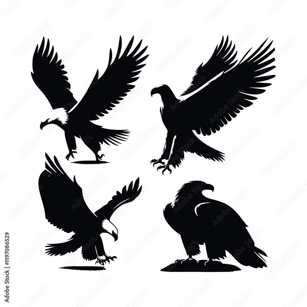 Obraz premium Eagle bird vector on a set design with white background