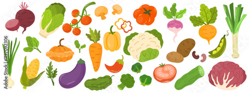 Vegetables set. Healthy organic food. Tomatoes, onion, zucchini, eggplant, leek, potatoes, corn, peppers, beet. Vector hand draw illustration isolated on white background.