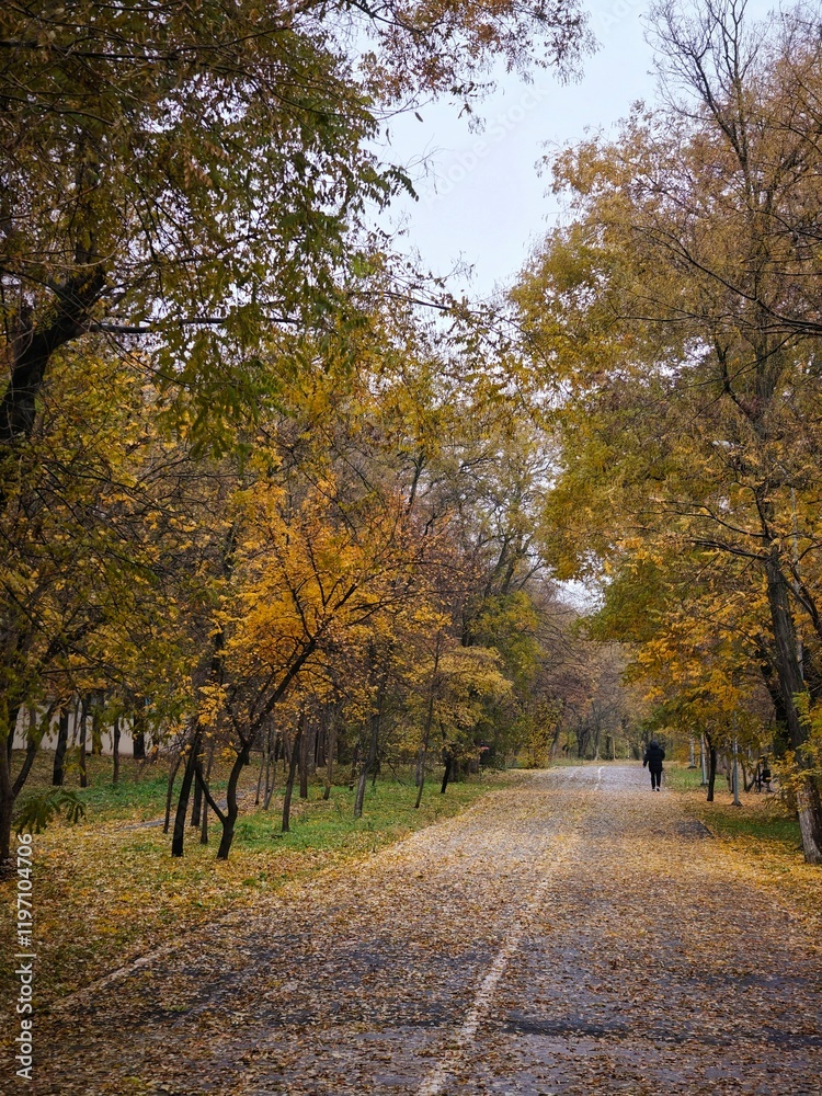 Naklejka premium Autumn in the park, long road in yellow leaves silent weather, cosy day