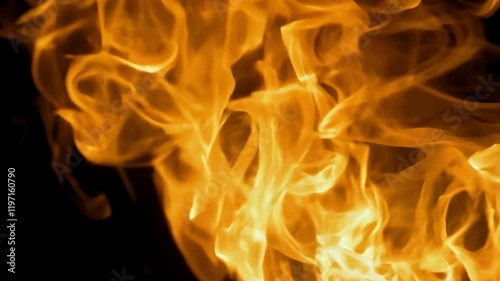 Burning flames spreading on black background