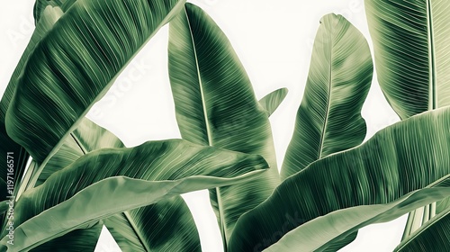 Serene Tropical Leaves: A Lush, Green Botanical Print