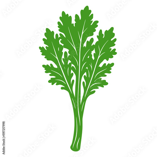celery isolated on white