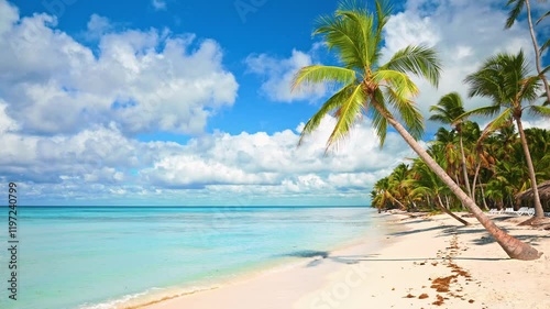 Beautiful natural tropical landscape of white sand beach. Young green palm tree leaning over calm sea wave. Turquoise ocean against blue sky on sunny summer day in Bahamas. Travel to tropical paradise photo