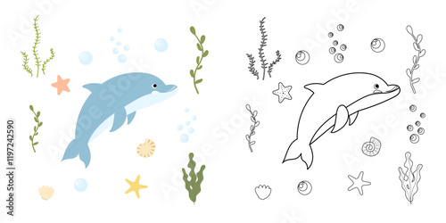 Cute dolphin coloring page. Sea character. Marine life, shells, seaweed. Underwater life. Children's vector coloring page with a color example. photo