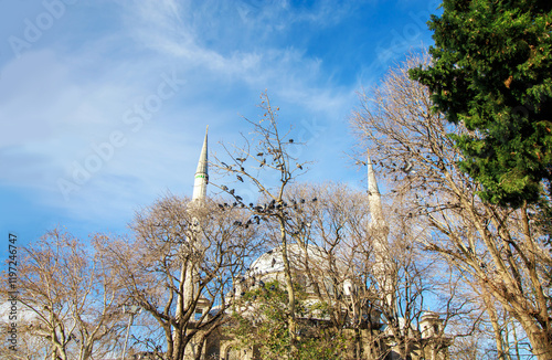 View of historical Eyup sultan mosque (cami)  and pigeons on the trees in the eyup town istanbul  photo