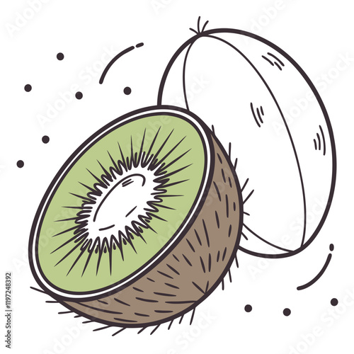 Juicy kiwi fruit slice and whole fruit sketch food art freshness healthy diet