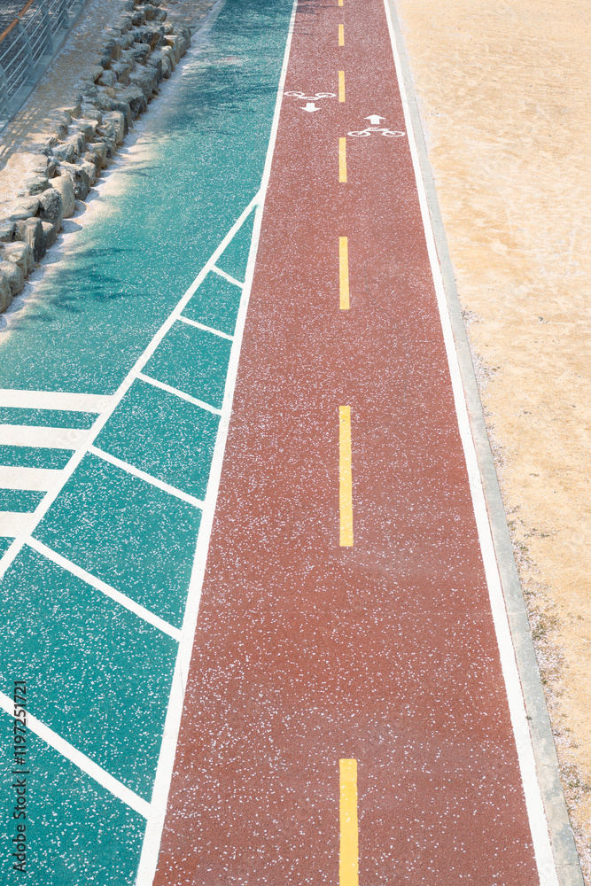 Oncheoncheon Stream bicycle road with cherry blossom petal in Busan, Korea