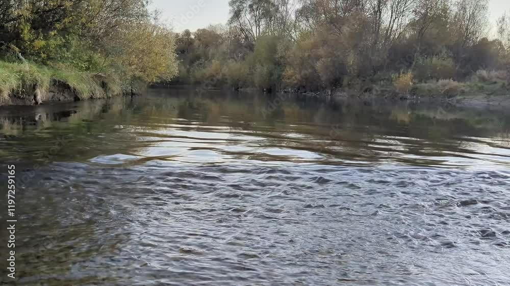 Tranquil river flowing through autumn landscape near wooded area Tranquil river flowing through autumn landscape near wooded area
