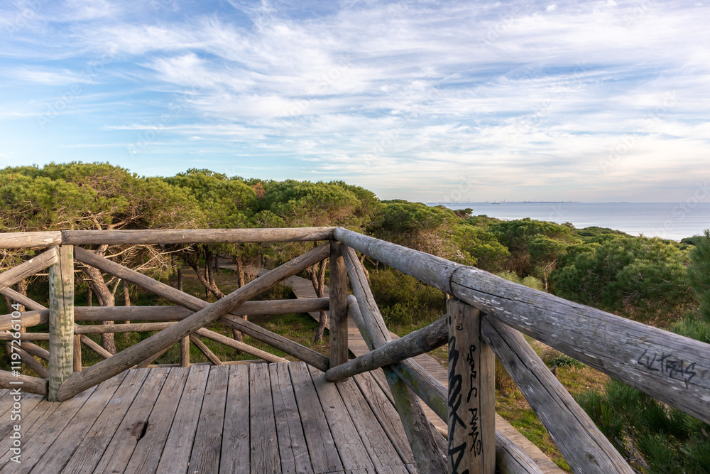 Rota, Stadt im Südwesten, Spanien, Andalusien in der Provinz Cádiz / Costa de la Luz / Park neben dem Strand Rota, Stadt im Südwesten, Spanien, Andalusien in der Provinz Cádiz / Costa de la Luz / Park neben dem Strand