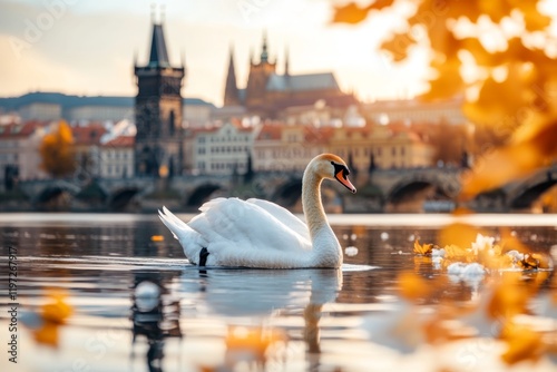 Fototapeta Naklejka Na Ścianę i Meble -  A hyper-realistic close-up of a swan gliding on the Vltava, with detailed reflections in the water and Prague skyline blurred in the background