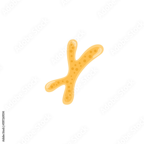 Bifidobacterium probiotic Illustration 