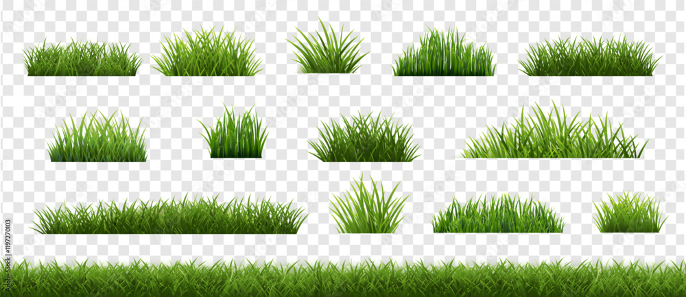 eGrassFrameAndTransparentBackground_10_M_250112