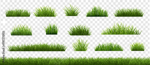 eGrassFrameAndTransparentBackground_10_M_250112