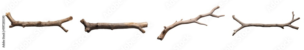 A single dry tree branch with a transparent background A single dry tree branch with a transparent background