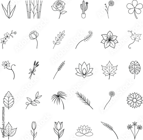 Botanical Line Art Flowers, Plants, and Nature Illustrations