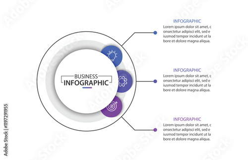 Business infographics. Infographics with 3 steps or options