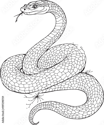 Snake Linear Drawing Sketched Art Line Vector Illustration