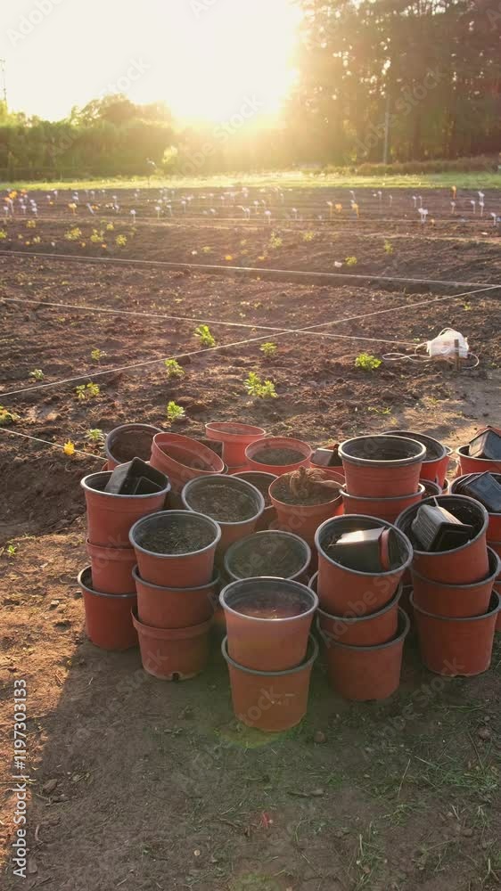 Verical video of empty flower pots in spring garden Verical video of empty flower pots in spring garden