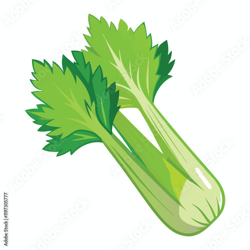celery isolated on white background