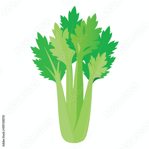 bunch of fresh parsley