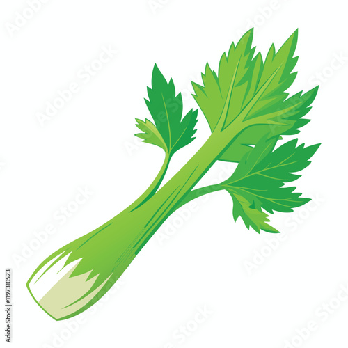 celery isolated on white