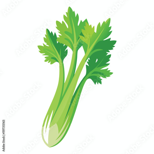 bunch of fresh parsley