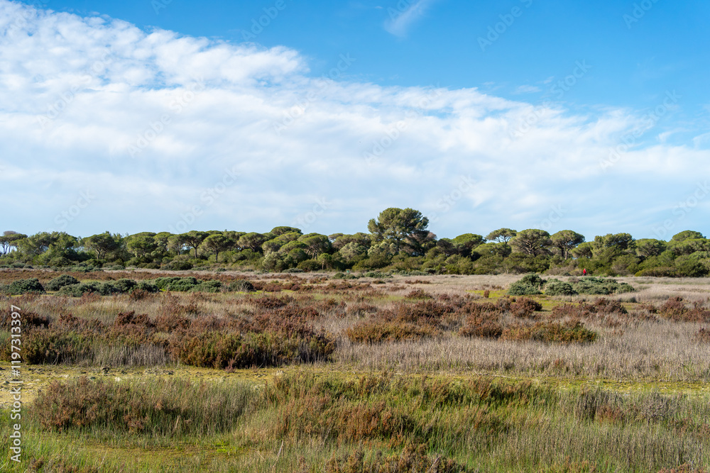 El Puerto de Santa María - Puerto Real / Naturpark der Bucht von Cádiz