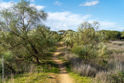 Obraz na płótnie El Puerto de Santa María - Puerto Real / Naturpark der Bucht von Cádiz w salonie
