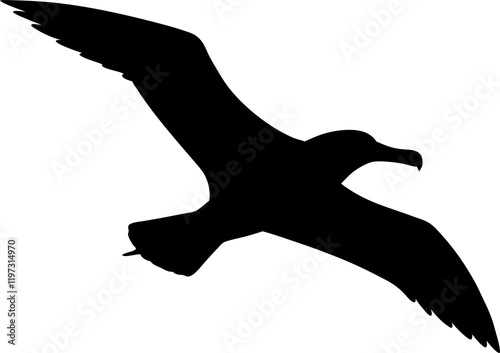 Detailed albatross silhouette soaring, transparent background isolation