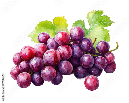 Vibrant red grapes watercolor still life artistic composition kitchen bright and colorful close-up nature's bounty isolated on transparent background png