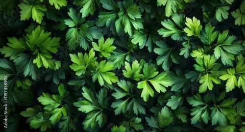 Lush green leaves creating a vibrant natural pattern on a sunny day in a garden