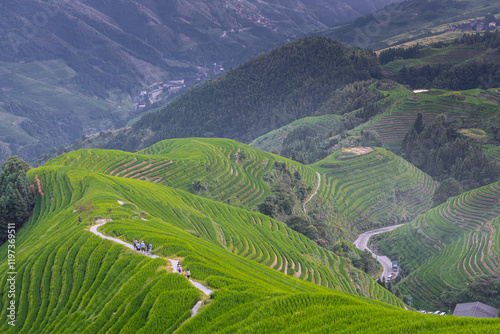 Longji Rice terraces on Yaoshan Mountain in Guangxi, China photo