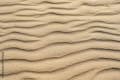 Obraz na płótnie Sand am Strand von Rota in Spanien w salonie