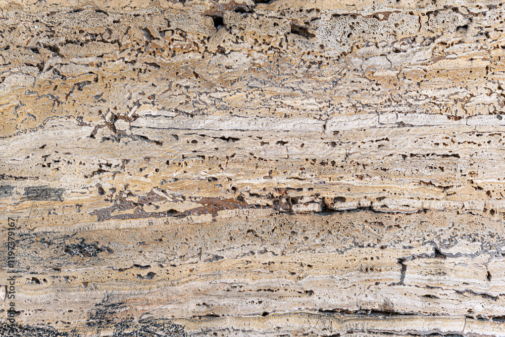 Shell stone texture as an abstract background.