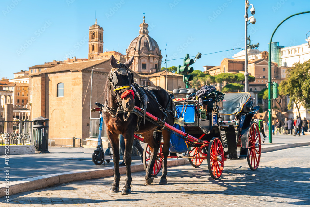 Horse drawn carriage on ancient street in Rome