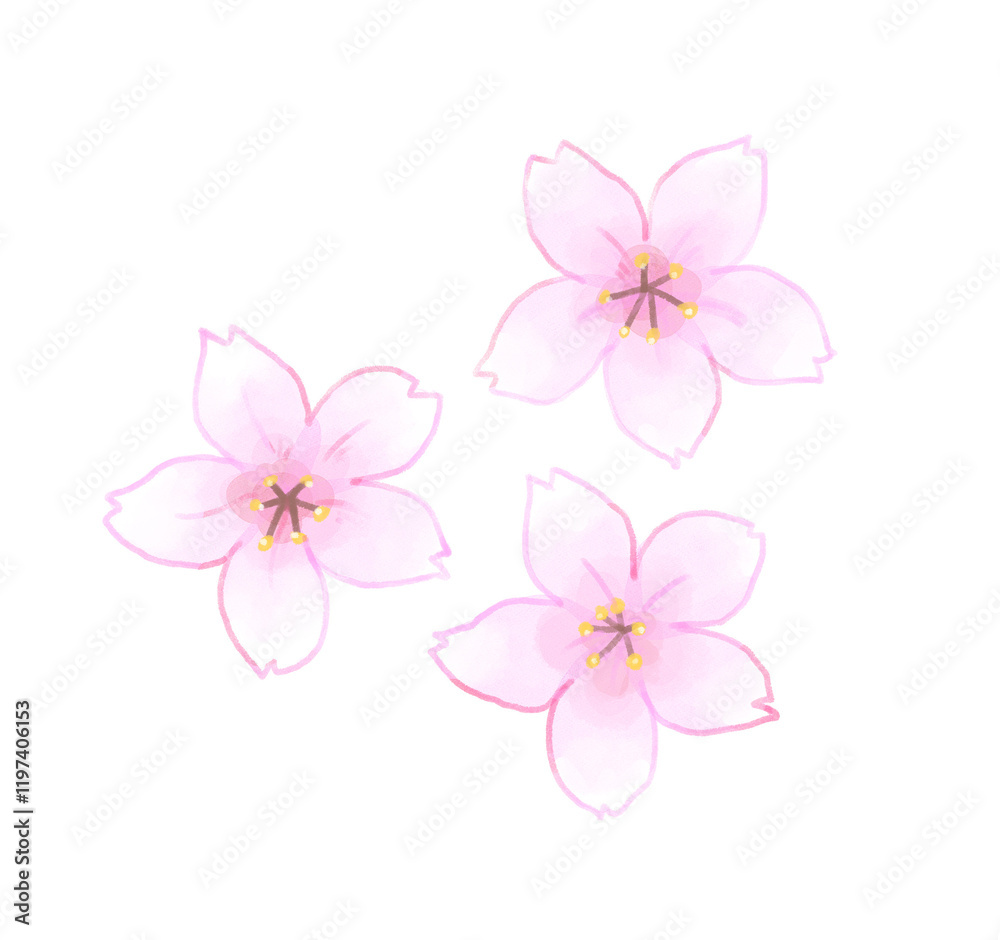 Fototapeta premium 桜の花びらのイラスト