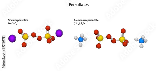 Set of persulfates. Sodium and ammonium persulfate. Isolated on white background. 3d illustration. photo