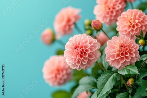 Pink flowers blooming against a teal background showcasing vibrant natural be...
