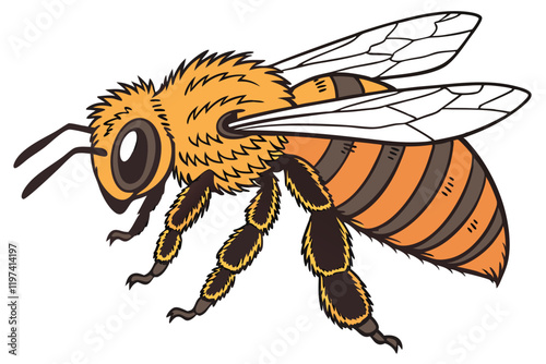 Hyper-realistic honey bee, macro photography, intricate wing details, fuzzy body texture, vibrant orange and black stripes, compound eyes, antennae, transparent wings, fine hair, sharp focus, white ba
