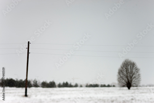 Canvas Print electricity pole in the snowfield