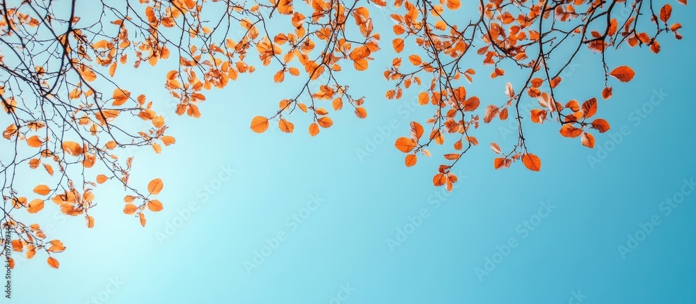 Lush Autumn Branches with Golden Orange Leaves Against a Clear Sky Background Ideal for Text Overlay in a Tranquil Outdoor Setting Lush Autumn Branches with Golden Orange Leaves Against a Clear Sky Background Ideal for Text Overlay in a Tranquil Outdoor Setting