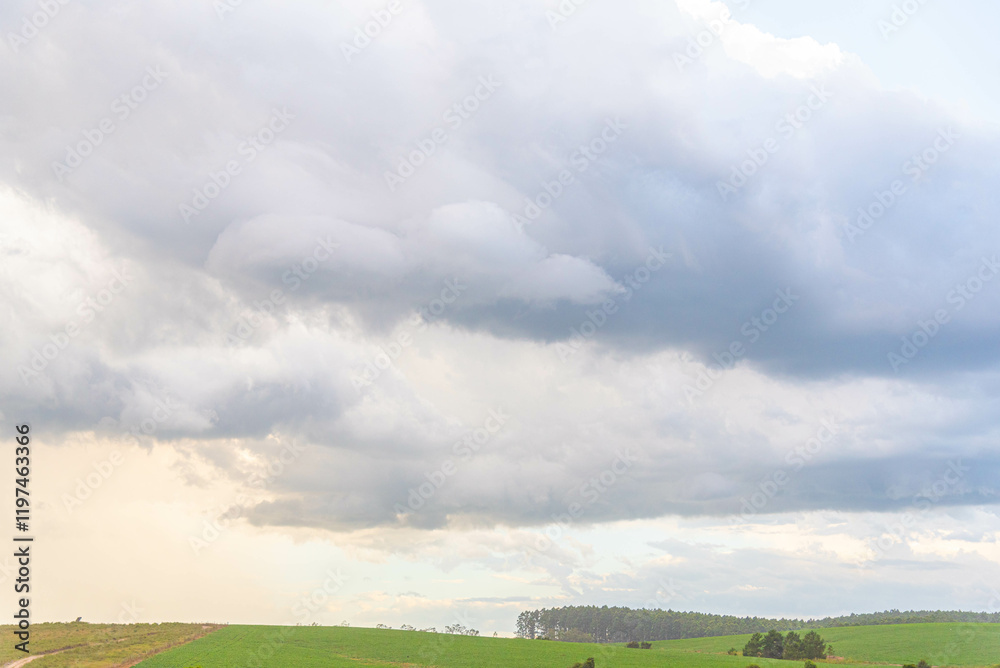 Obraz premium Rain clouds and cumulonimbus clouds over the pampa biome