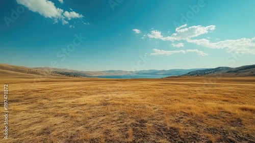 Vast dry grassland panorama with distant lake under blue sky and scattered clouds Copy Space